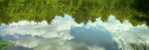 Nature is but One